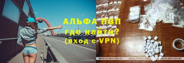 крисы Новозыбков