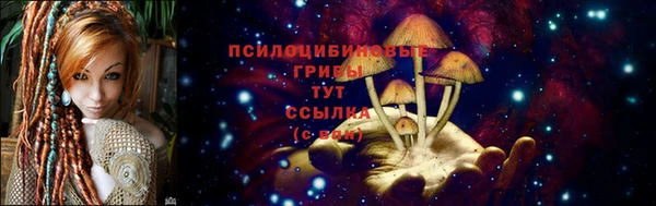 крисы Новозыбков