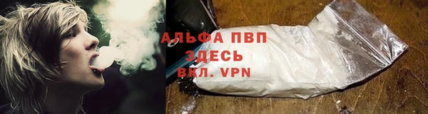 крисы Новозыбков