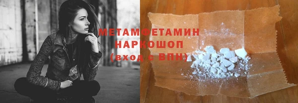крисы Новозыбков