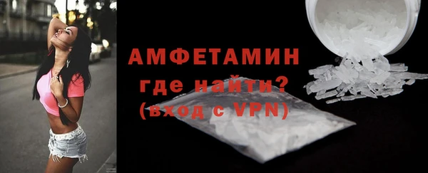 индика Нея