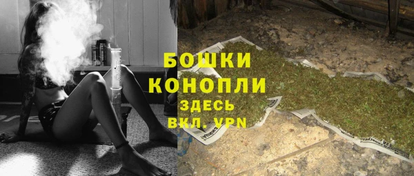 индика Нея