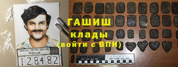 индика Нея