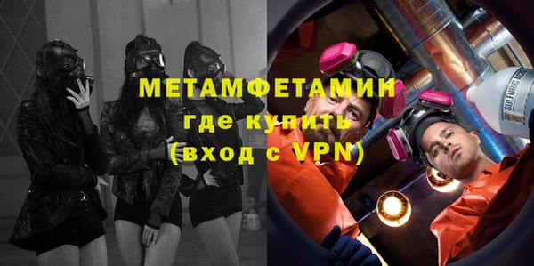 крисы Новозыбков