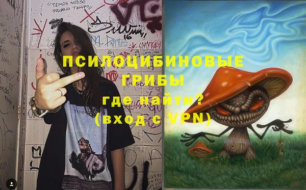 соль курить ск Новодвинск