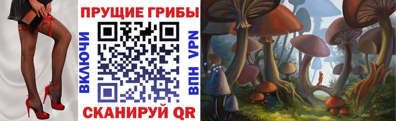 Псилоцибиновые грибы Psilocybine cubensis  где купить наркотик  Ишим 