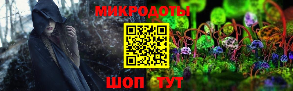 Ишим  Псилоцибиновые грибы прущие грибы  Вход с VPN 
