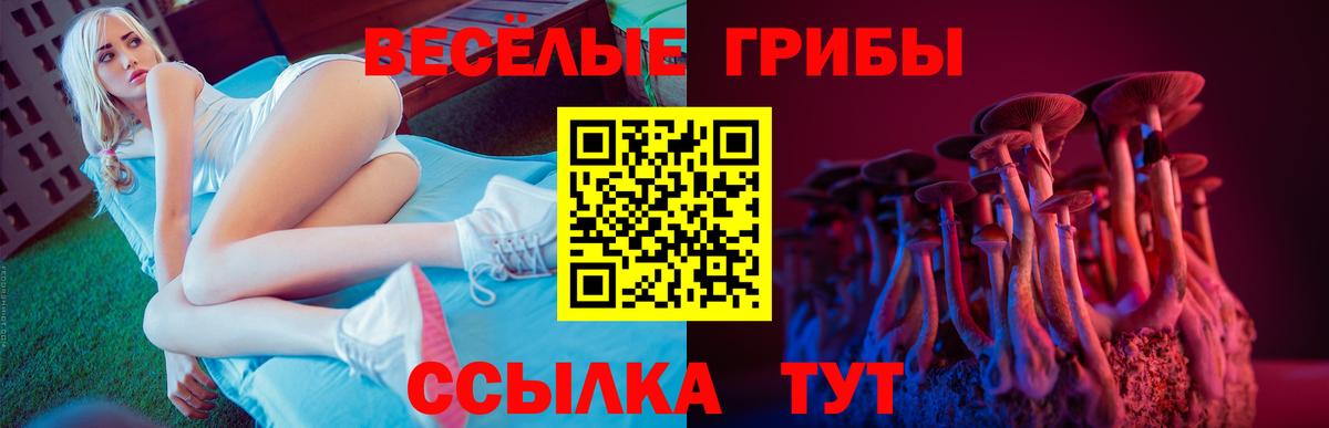 Галлюциногенные грибы Magic Shrooms Ишим